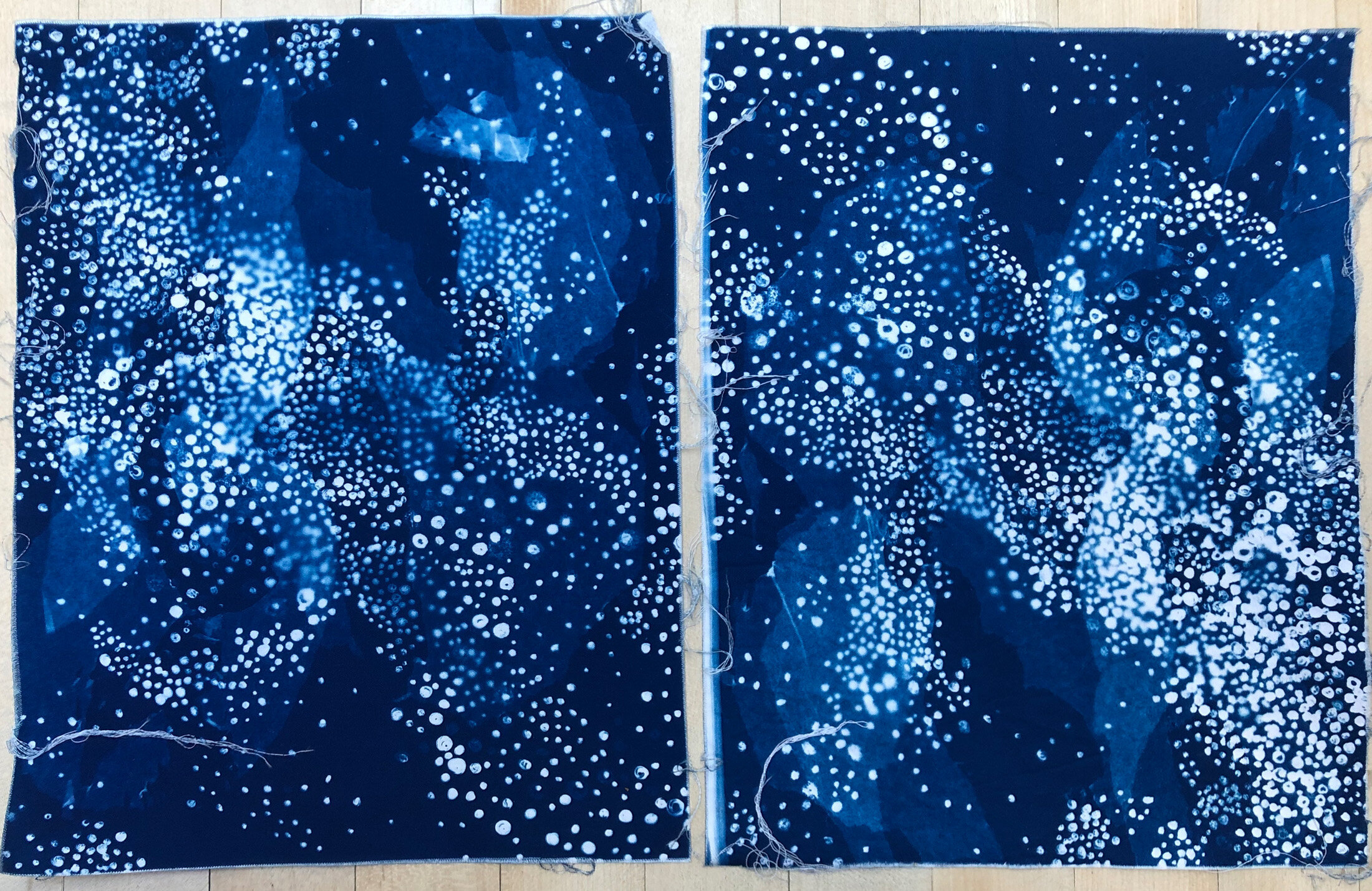 Exploring Cyanotype: In My Head and on The Paper — Christine Shannon Aaron